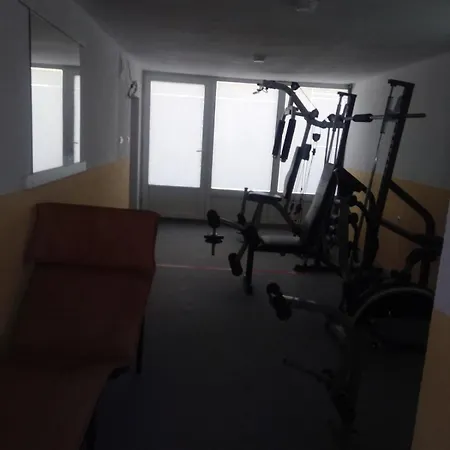 Porodicna Kuca Apartment